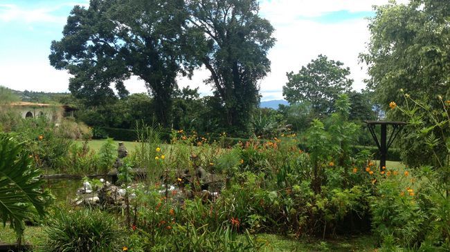 Hotel Desire Costa Rica Santa Barbara de Heredia Екстериор снимка